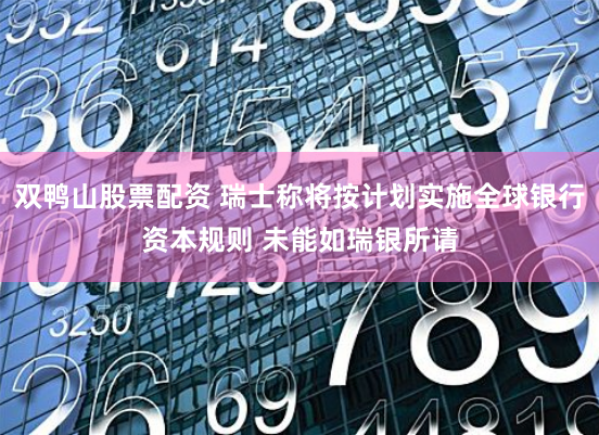 双鸭山股票配资 瑞士称将按计划实施全球银行资本规则 未能如瑞银所请