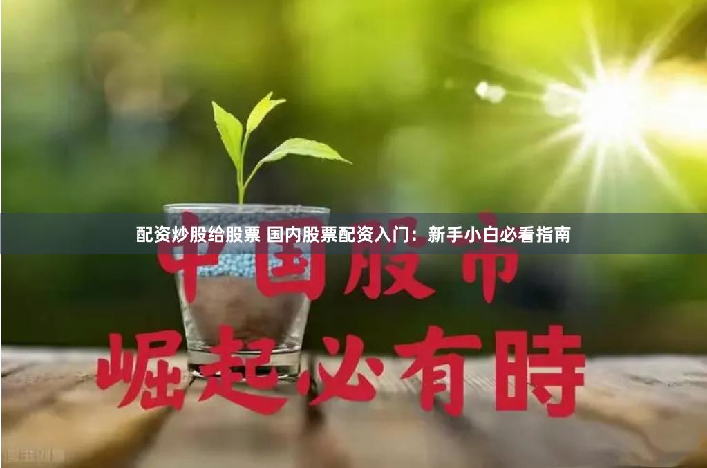 配资炒股给股票 国内股票配资入门：新手小白必看指南