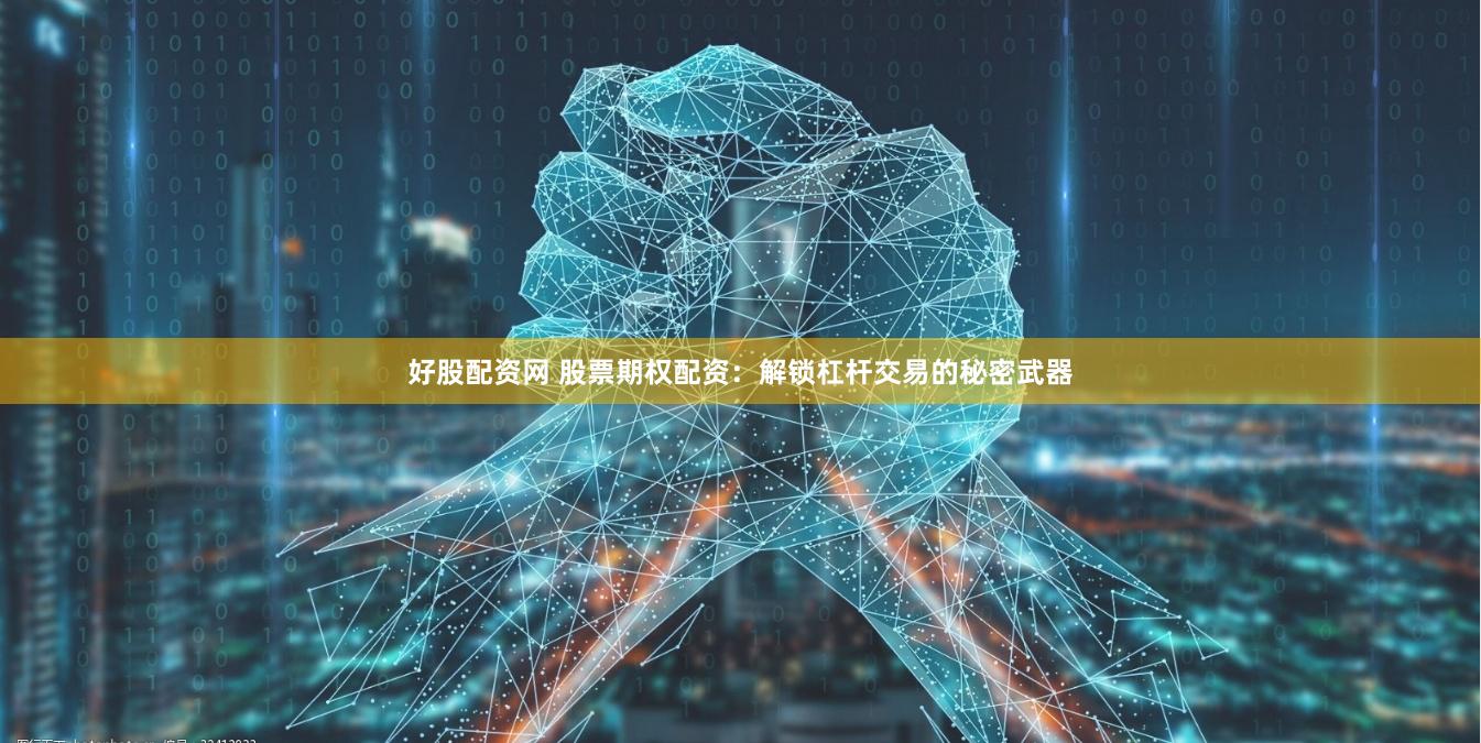 好股配资网 股票期权配资：解锁杠杆交易的秘密武器